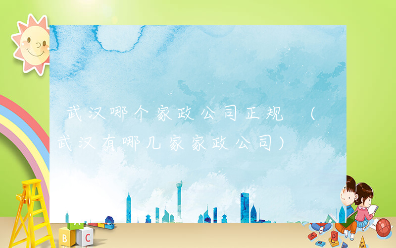 武汉哪个家政公司正规 (武汉有哪几家家政公司)